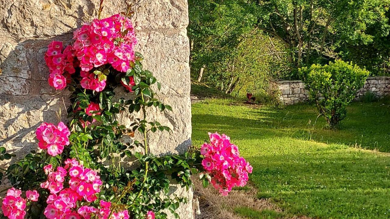 ホテル Manoir Le Moulinal47 - Vue Panoramique Courbiac エクステリア 写真